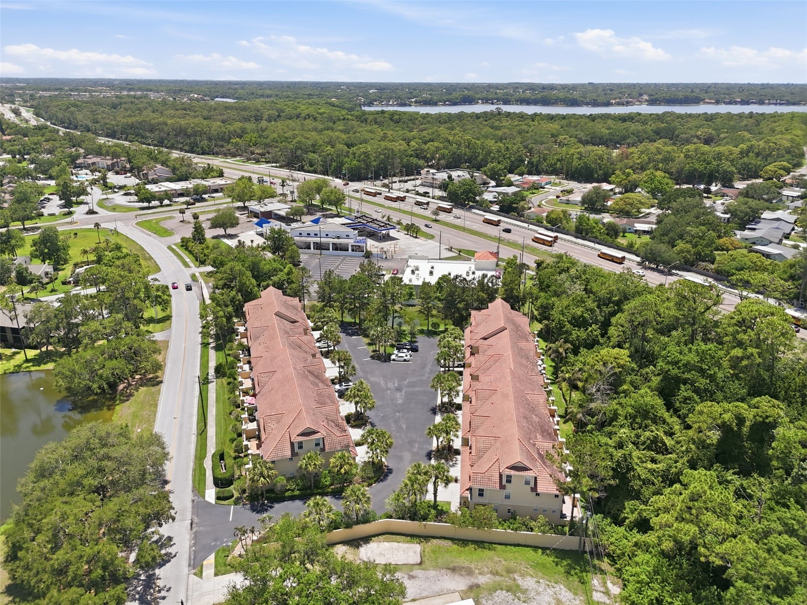 2656 Tanglewood Trail Palm Harbor FL 34685 TB8512248 image44