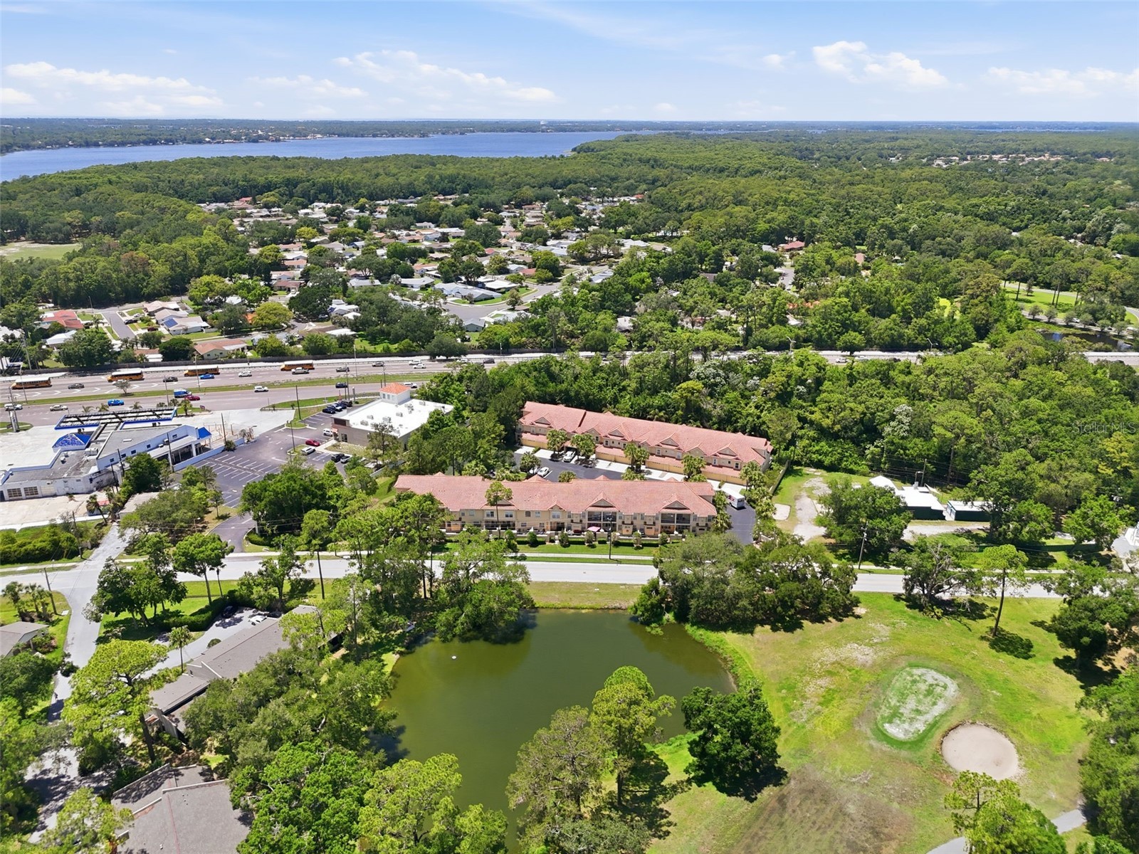 2656 Tanglewood Trail Palm Harbor FL 34685 TB8512248 image45