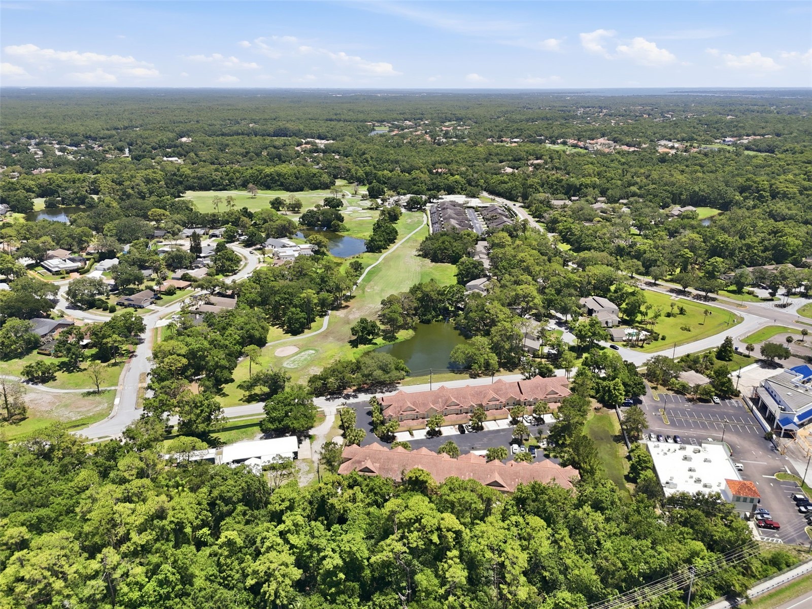 2656 Tanglewood Trail Palm Harbor FL 34685 TB8512248 image46