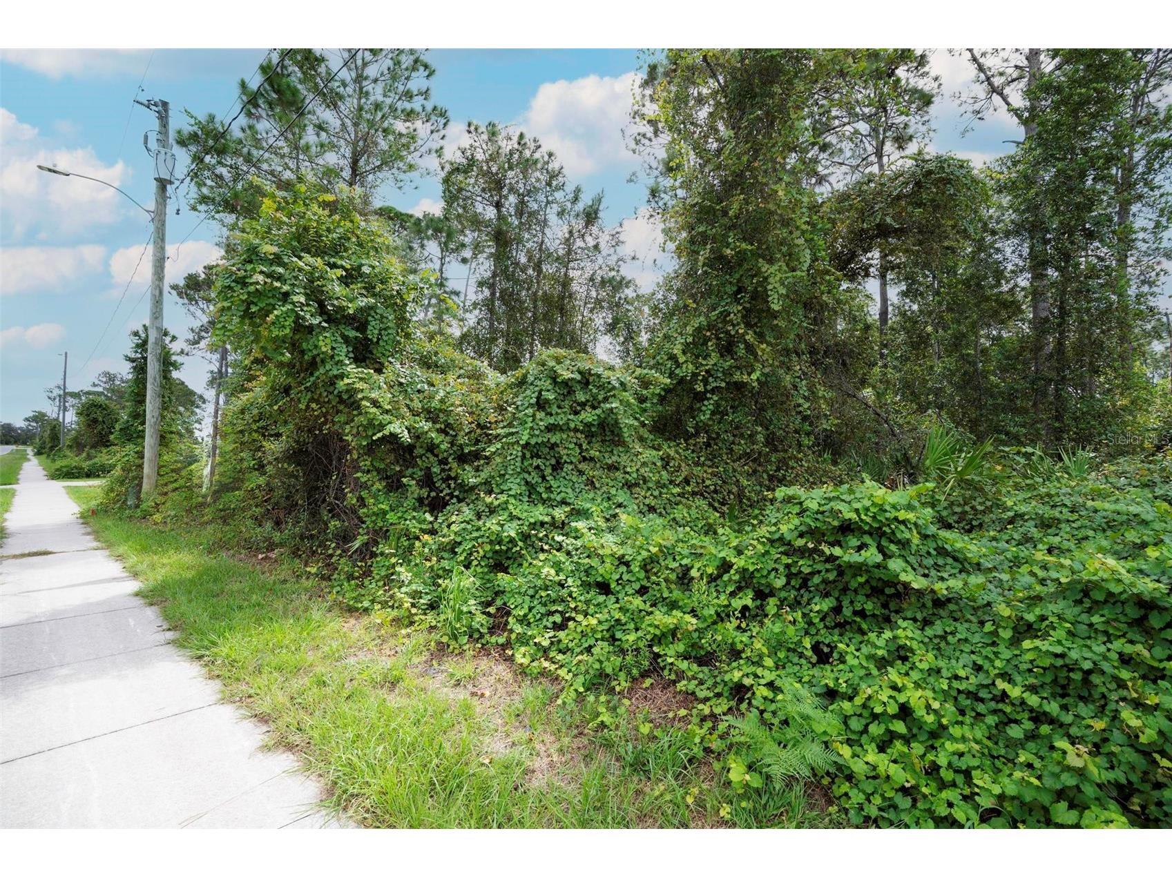 2657 Captain Drive Deltona FL 32738 V4947606 image19
