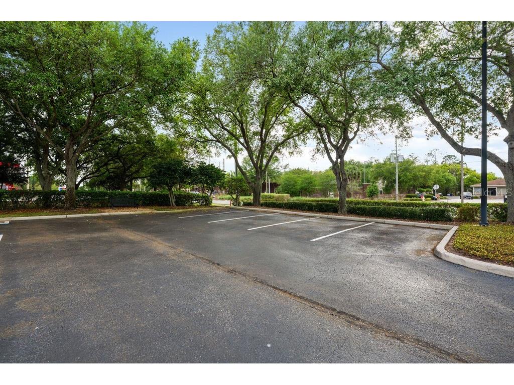 2658 Maguire Road Ocoee FL 34761 O6395515 image4