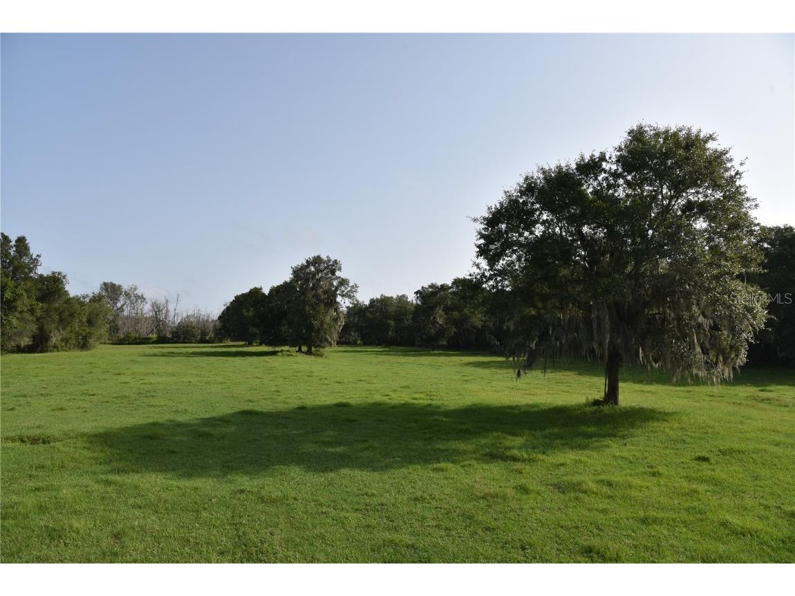 2658 NE Highway 353 Old Town FL 32680 OM670802 image1