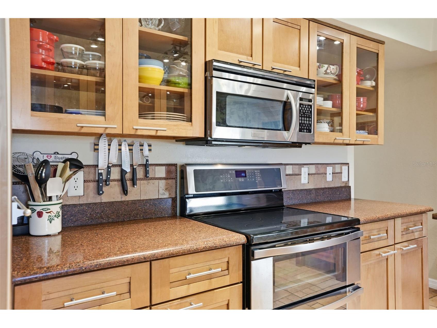 2658 Royal Ridge Drive Spring Hill FL 34606 TB8484068 image37