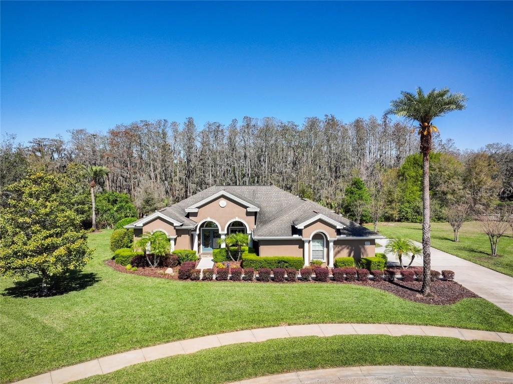 2659 Keystone Springs Road Tarpon Springs FL 34688 TB8359754 image1