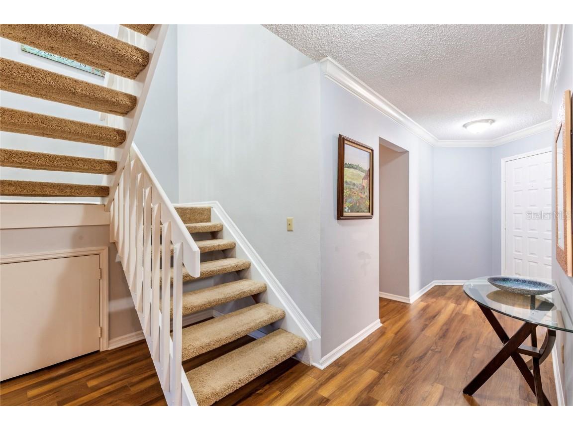 2659 Sequoia Terrace Palm Harbor FL 34683 TB8437049 image24