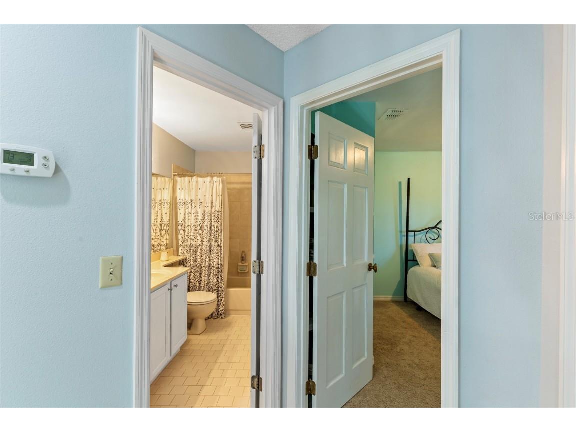 2659 Sequoia Terrace Palm Harbor FL 34683 TB8437049 image33