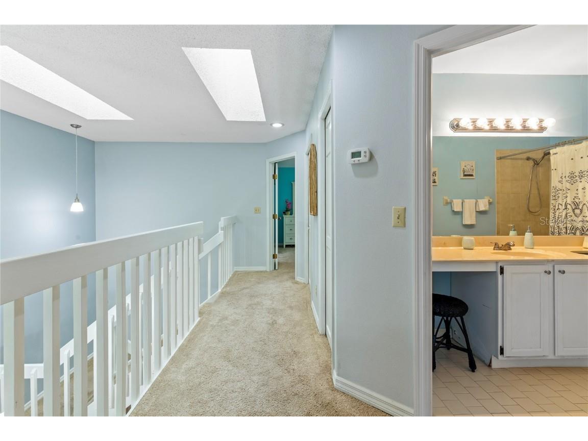 2659 Sequoia Terrace Palm Harbor FL 34683 TB8437049 image38