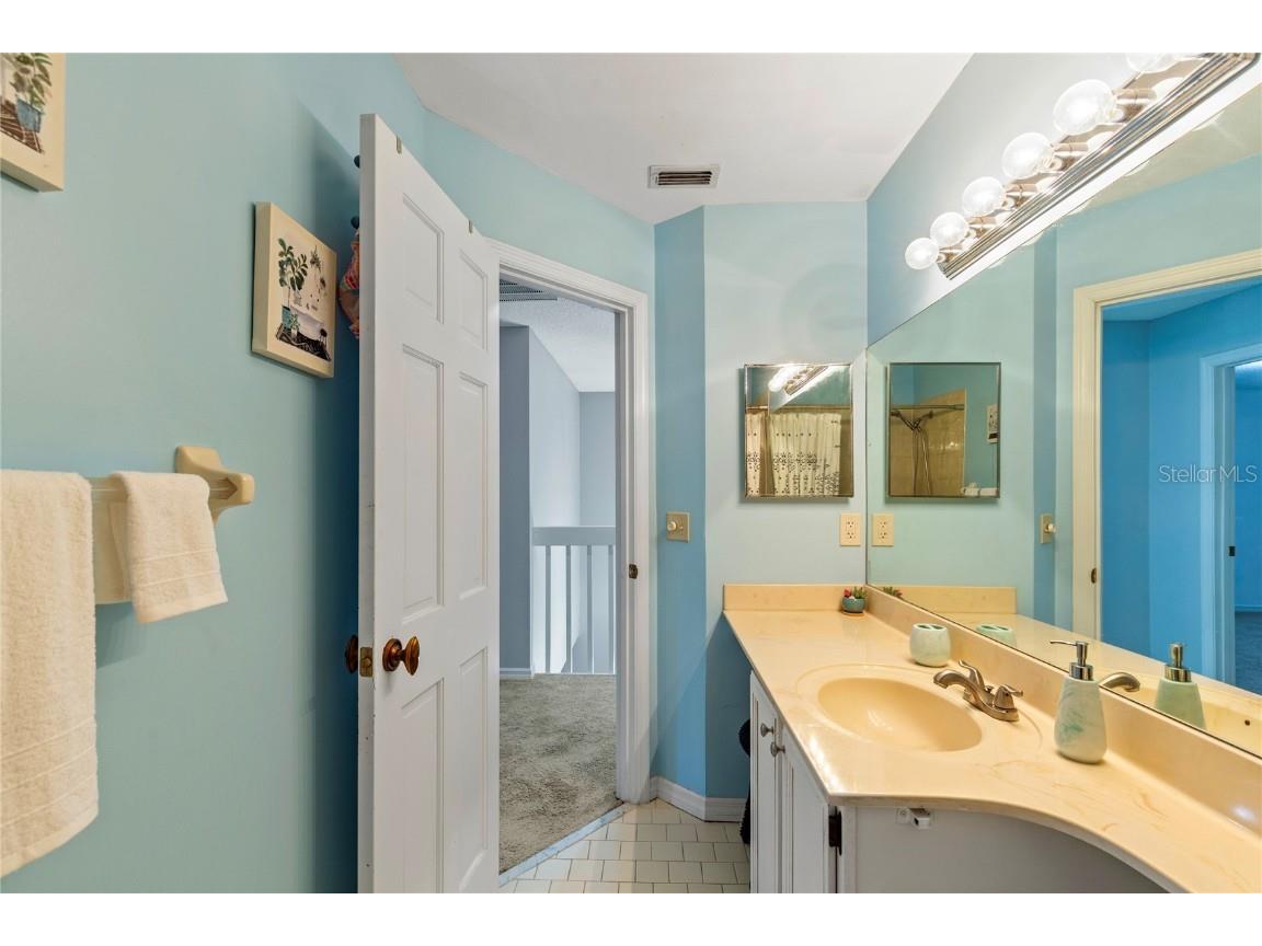 2659 Sequoia Terrace Palm Harbor FL 34683 TB8437049 image40