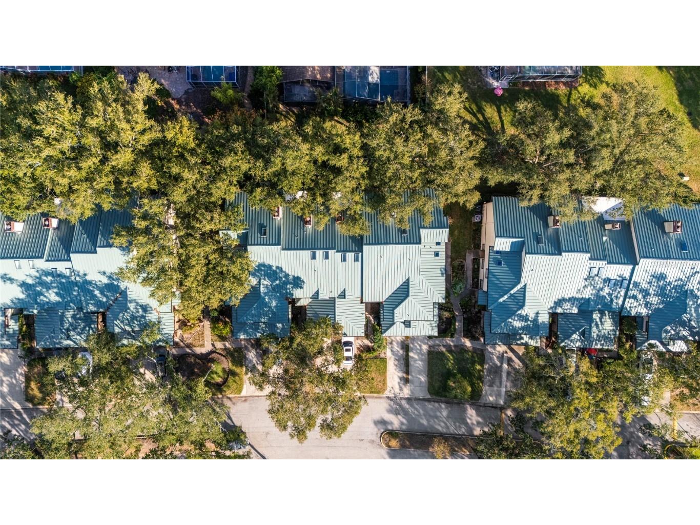 2659 Sequoia Terrace Palm Harbor FL 34683 TB8437049 image44