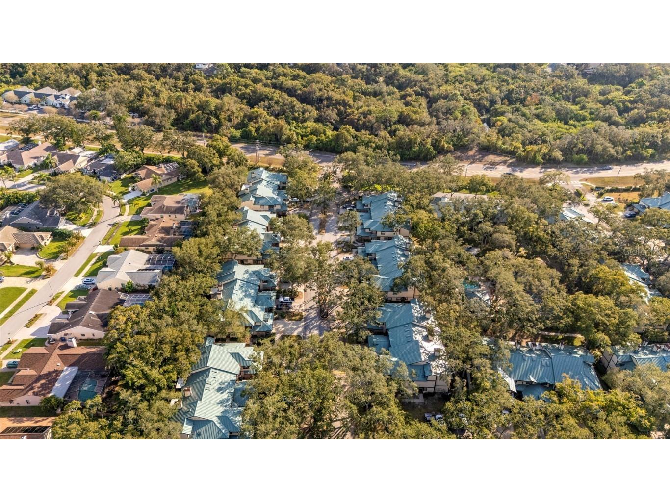 2659 Sequoia Terrace Palm Harbor FL 34683 TB8437049 image57