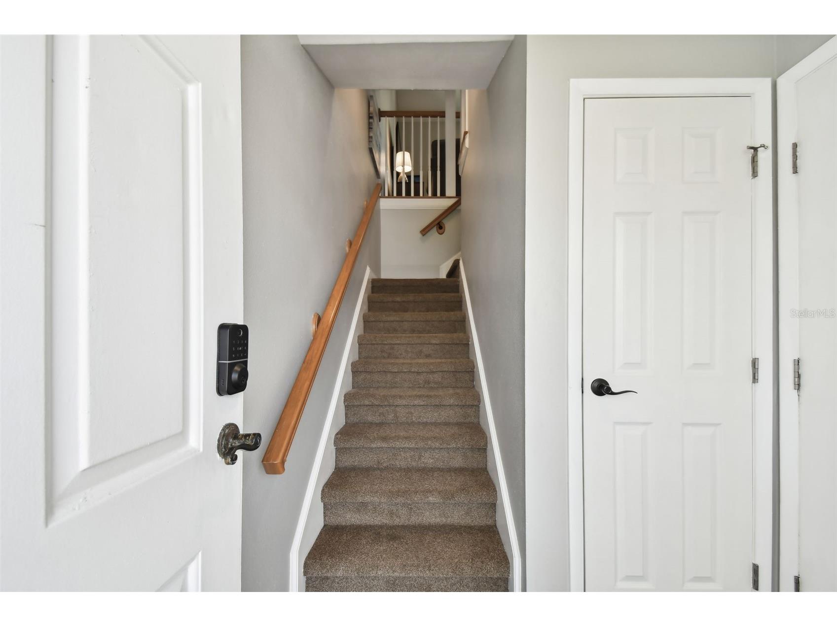 2659 St Josephs Drive W #108 Dunedin FL 34698 TB8466074 image5