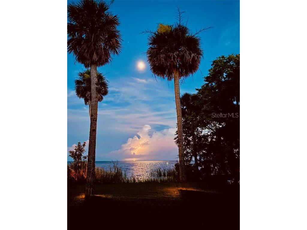 266 Drayton Island Road Georgetown FL 32139 FC313913 image100