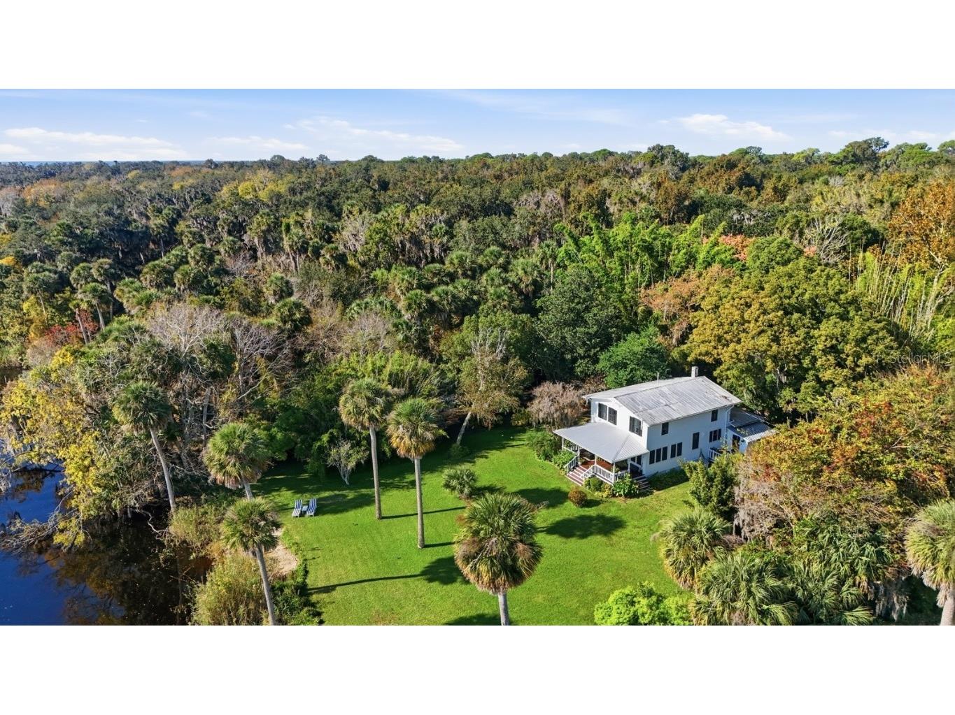 266 Drayton Island Road Georgetown FL 32139 FC313913 image3