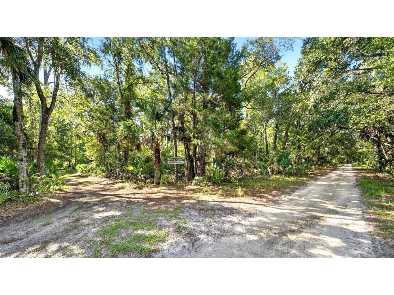 266 Drayton Island Road Georgetown FL 32139 FC313913 image74