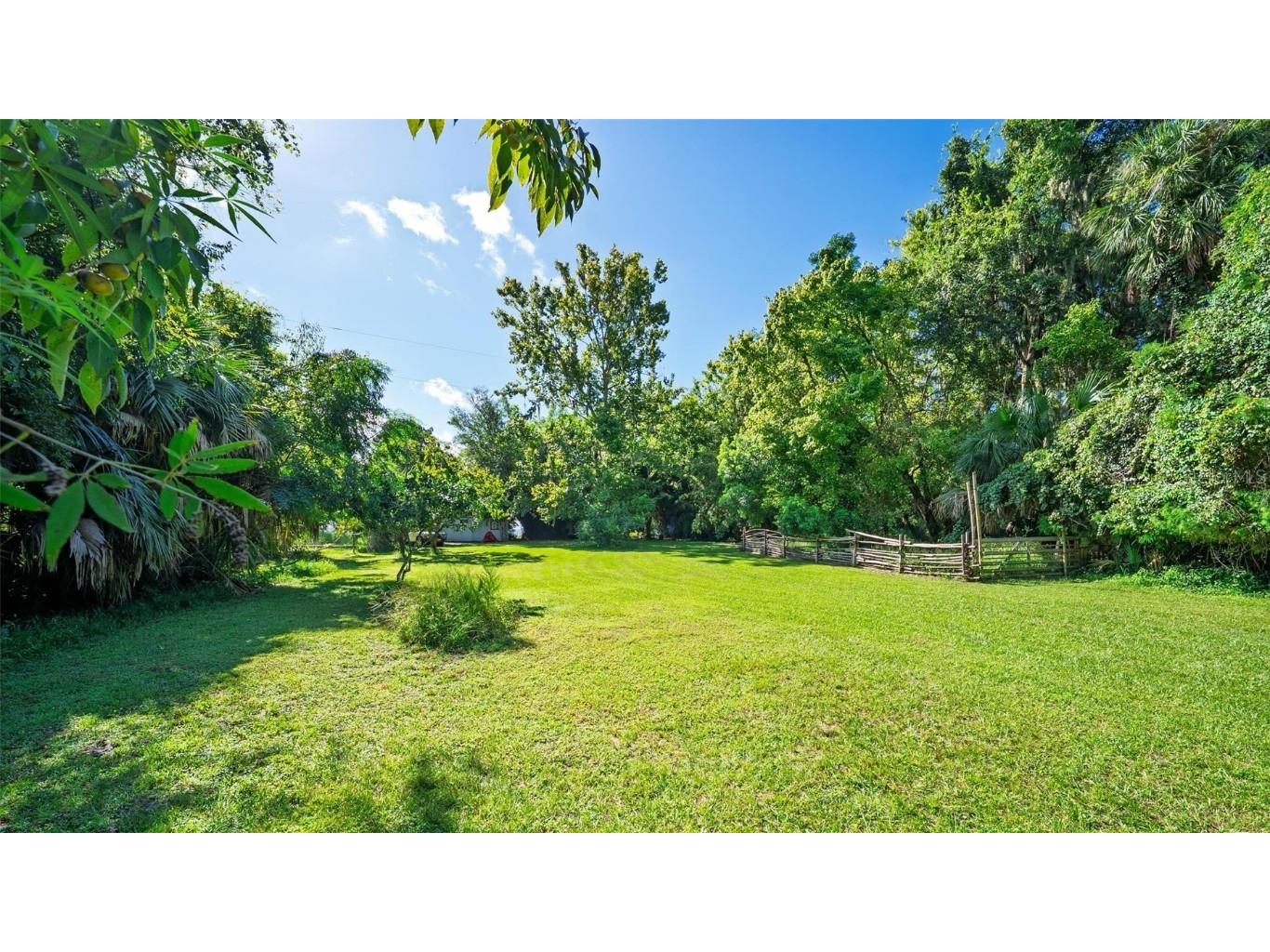 266 Drayton Island Road Georgetown FL 32139 FC313913 image75