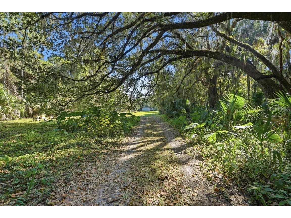 266 Drayton Island Road Georgetown FL 32139 FC313913 image97