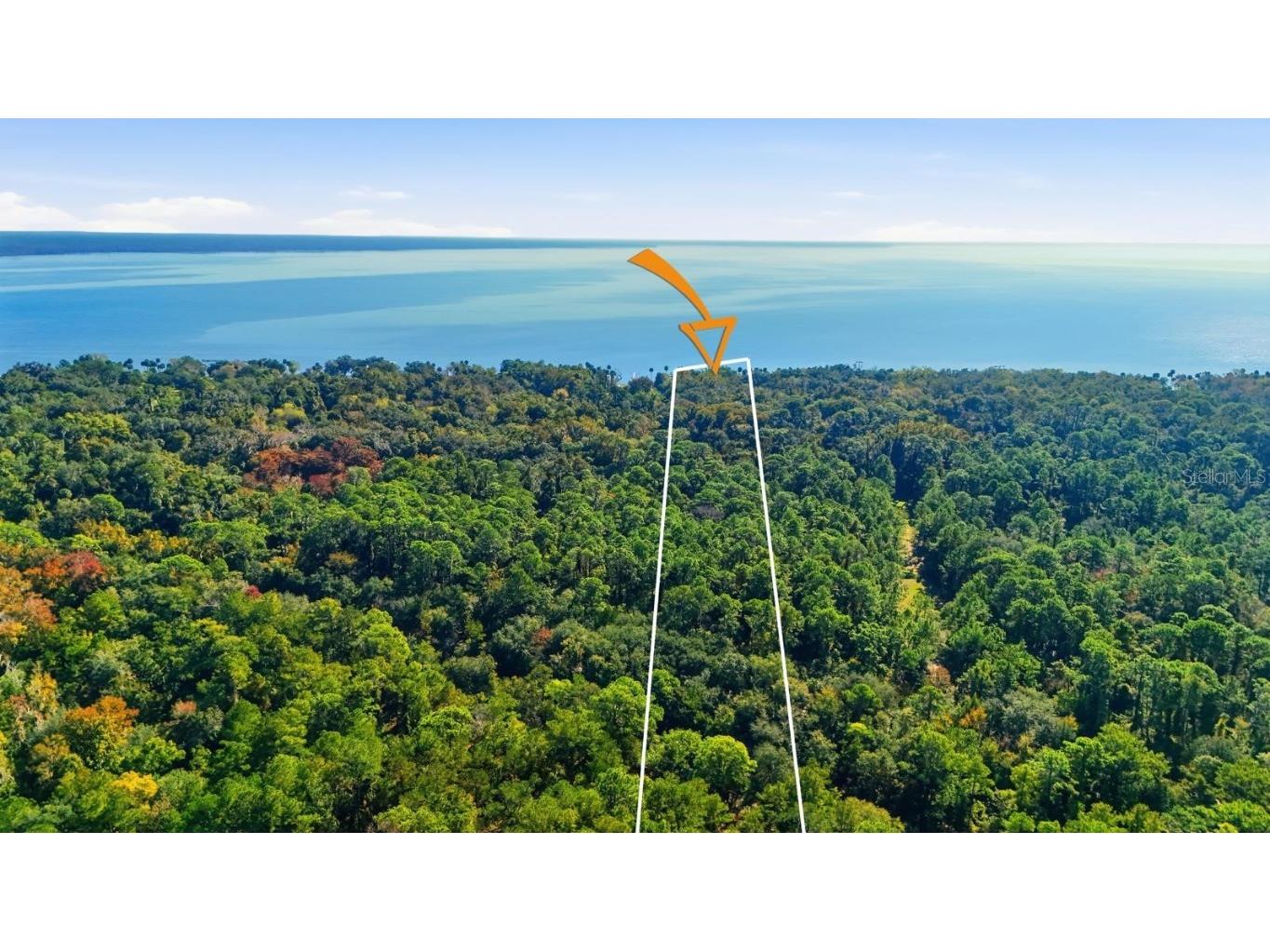 266 Drayton Island Road Georgetown FL 32139 FC313913 image98