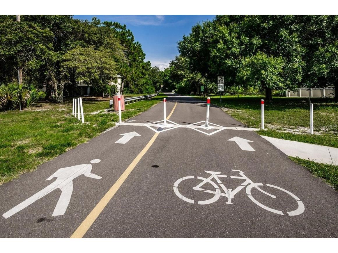 266 Florida Boulevard Crystal Beach FL 34681 - SUTHERLAND BAYOU TB8445394 image67