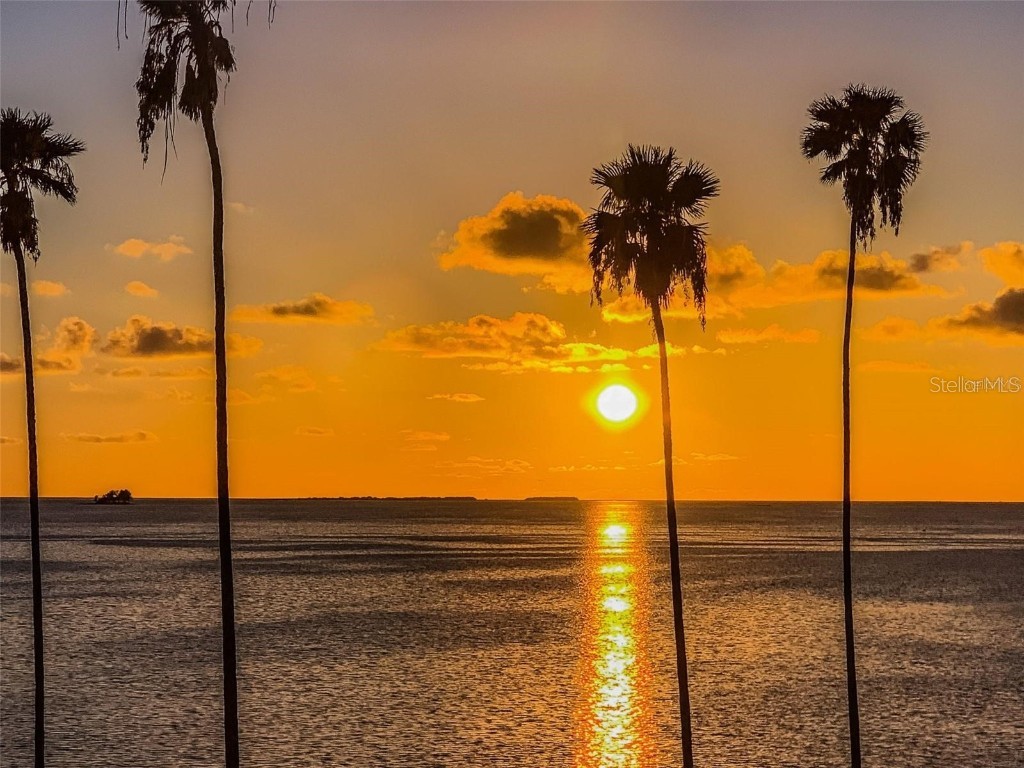 266 Florida Boulevard Crystal Beach FL 34681 - SUTHERLAND BAYOU TB8445394 image68