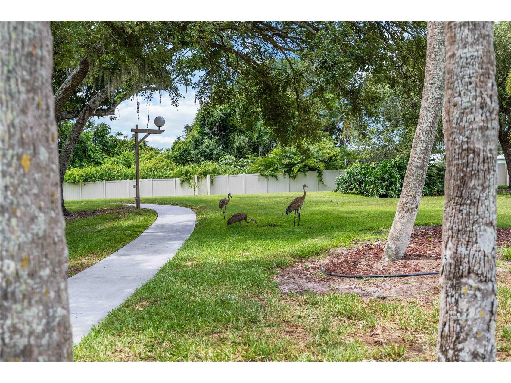 266 Oak Hill Drive #34 Sarasota FL 34232 A4696620 image25