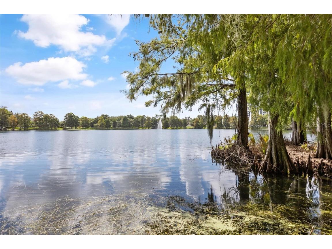 266 Park Lake Street #19 Orlando FL 32803 O6361100 image33