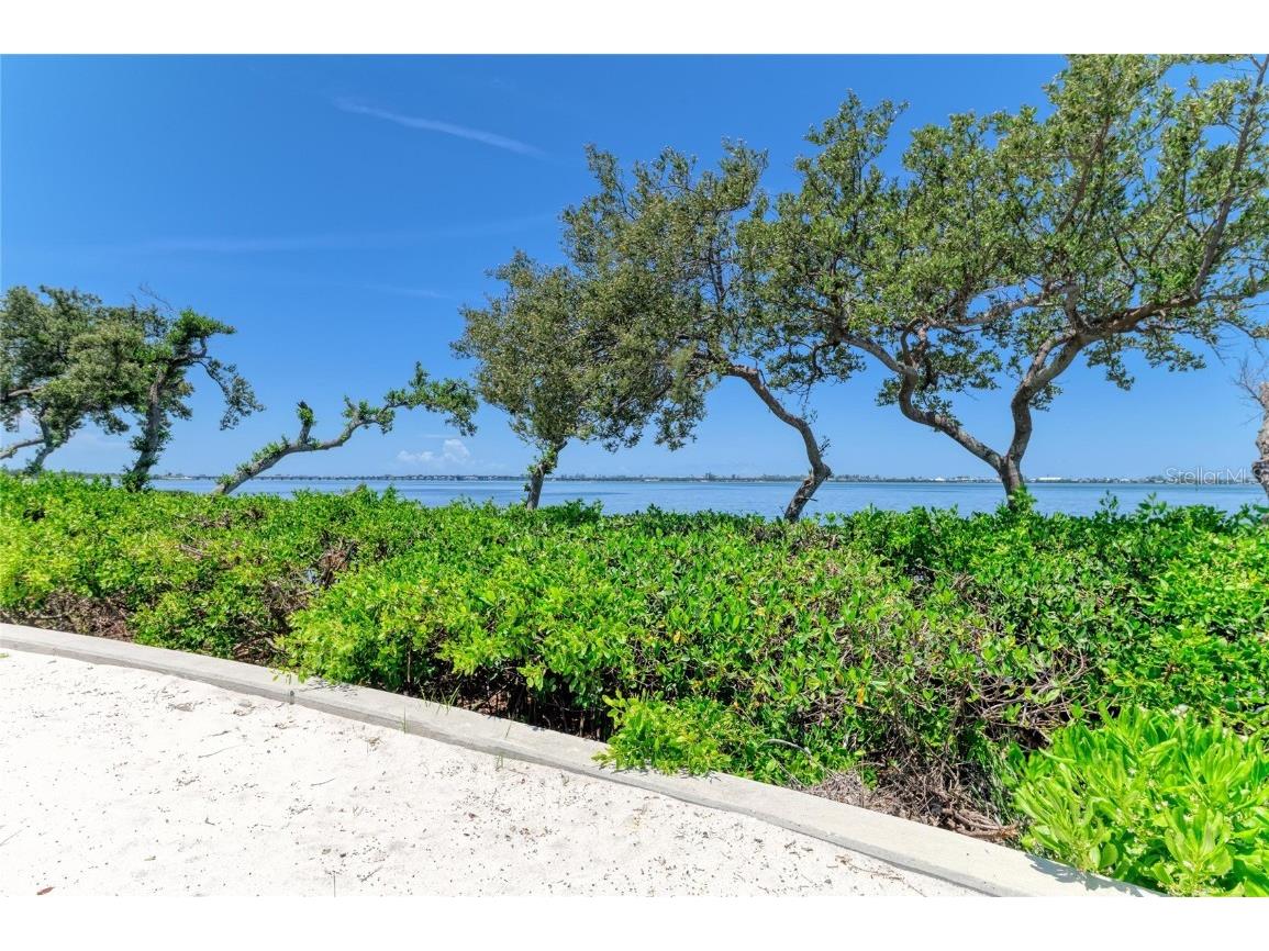 266 Sapphire Lake Drive #202 Bradenton FL 34209 - SAPPHIRE LAKE A4673610 image87