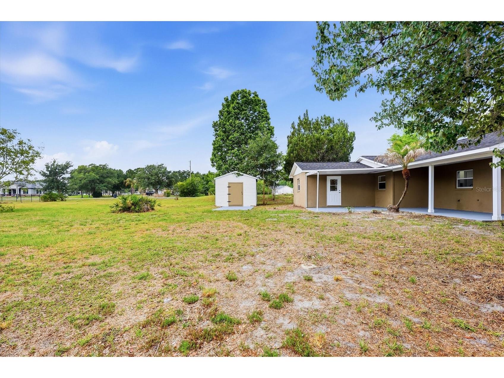 26602 Easy Street Wesley Chapel FL 33544 TB8508357 image40