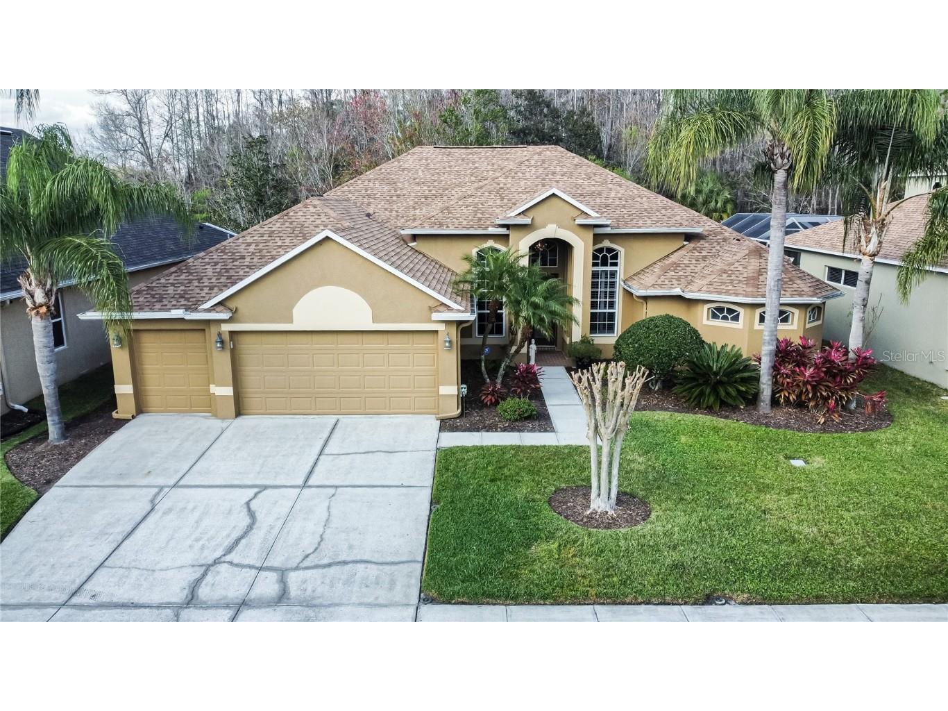 26604 Shoregrass Drive Wesley Chapel FL 33544 T3504480 image1