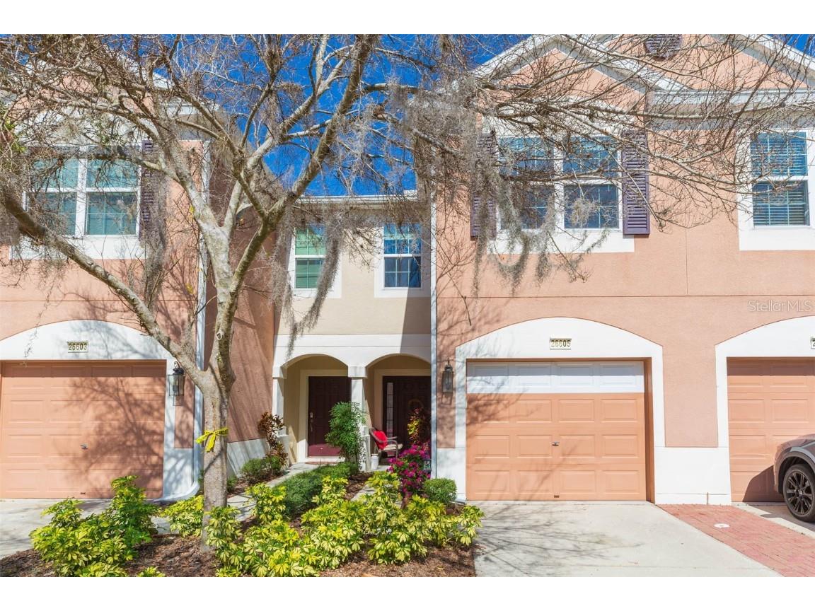 26605 Castleview Way Wesley Chapel FL 33544 T3428234 image1
