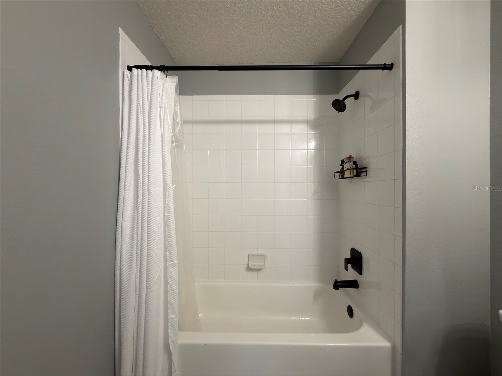 26605 Chimney Spire Lane Wesley Chapel FL 33544 TB8491581 image22