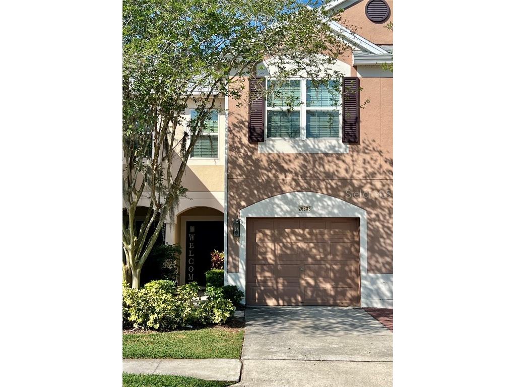 26606 Chimney Spire Lane Wesley Chapel FL 33544 T3513466 image1