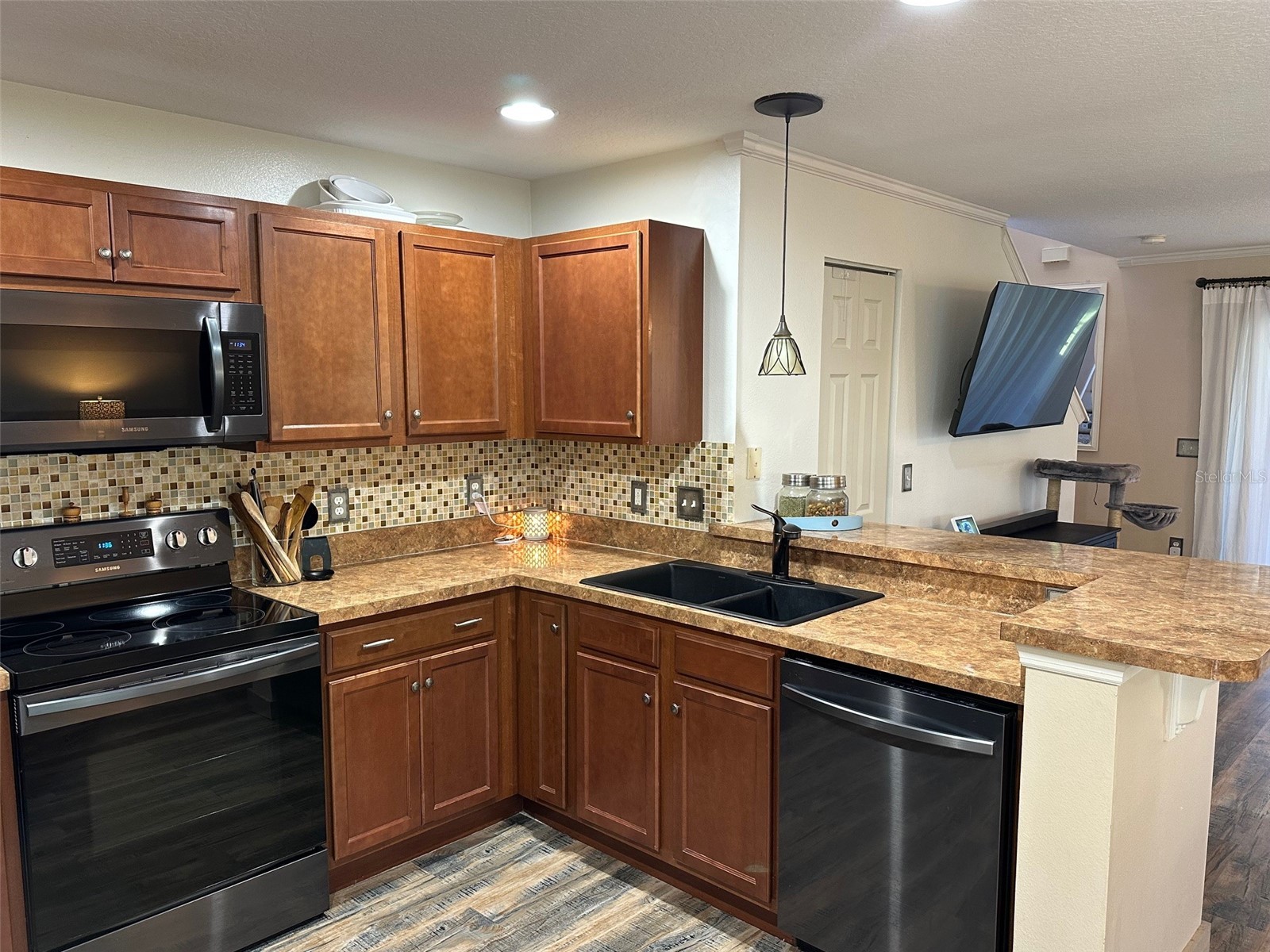 2661 Carthage Drive New Smyrna Beach FL 32168 NS1086962 image11