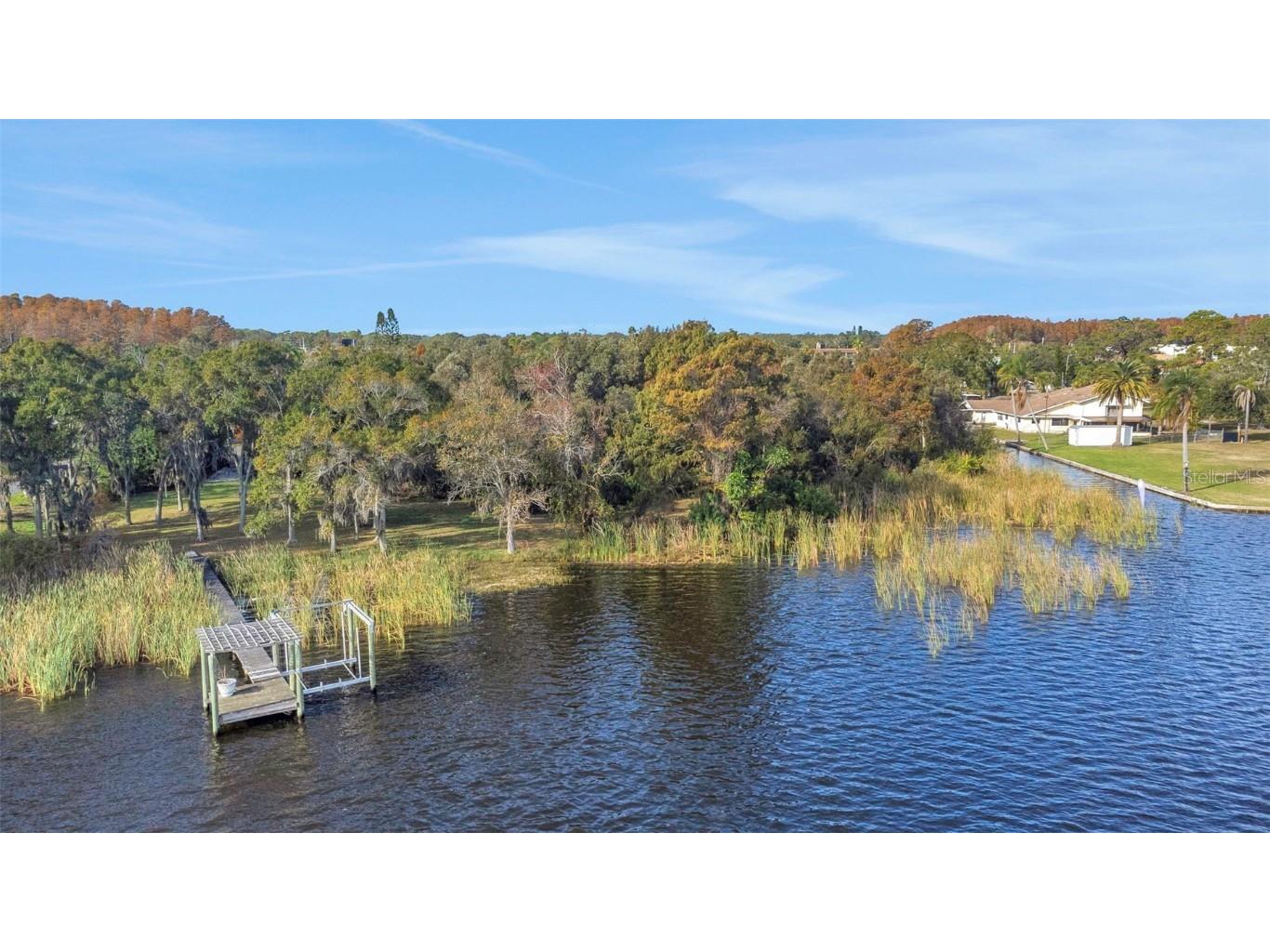 2661 Cyprus Drive Palm Harbor FL 34684 TB8458877 image1