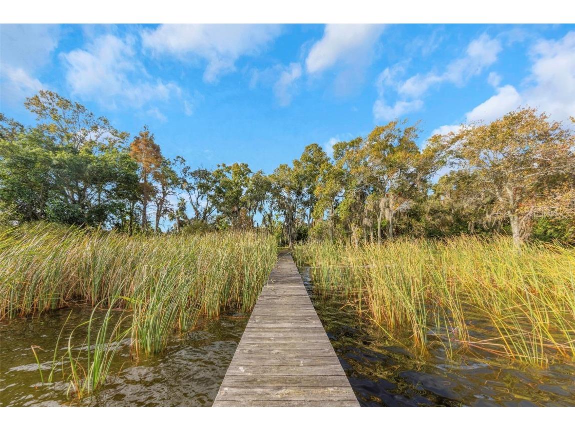 2661 Cyprus Drive Palm Harbor FL 34684 TB8458877 image14