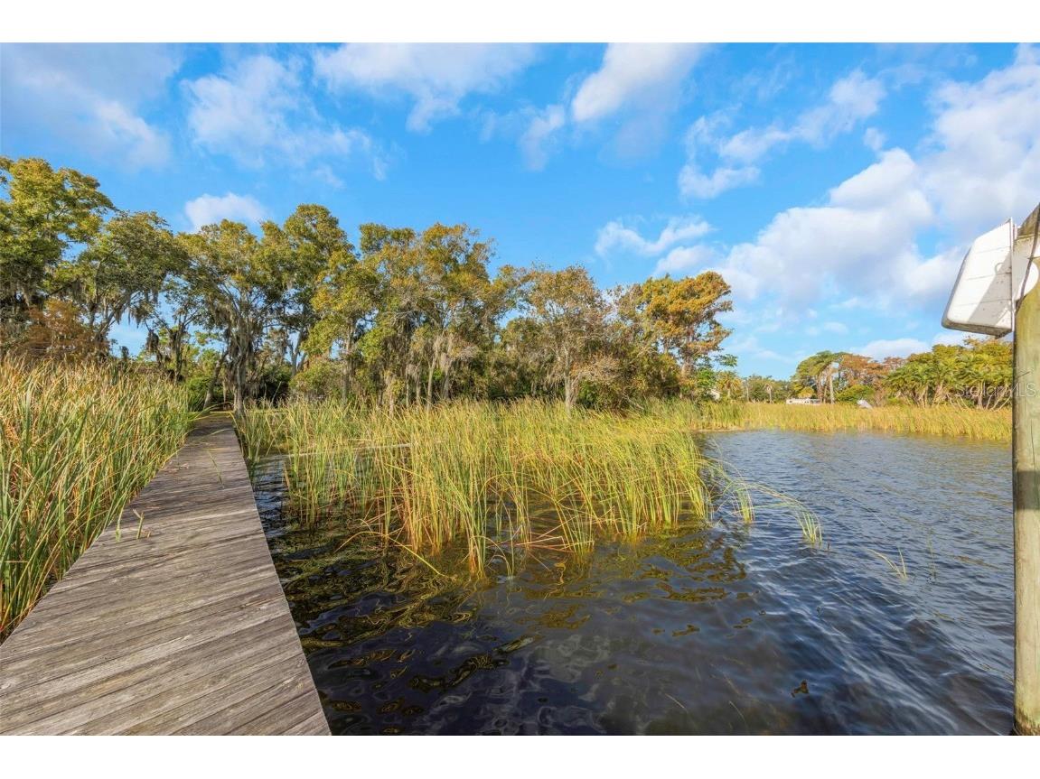 2661 Cyprus Drive Palm Harbor FL 34684 TB8458877 image15