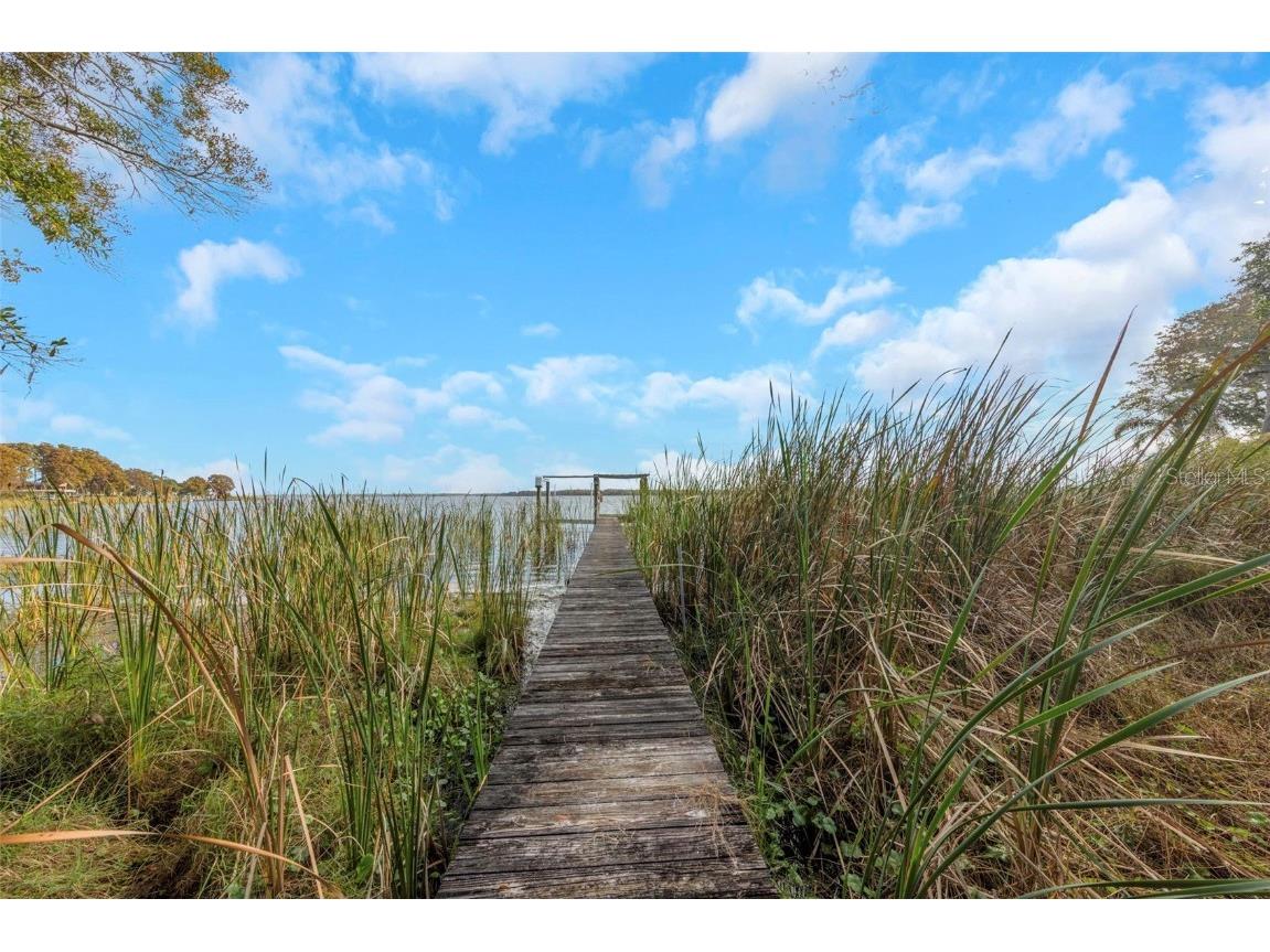 2661 Cyprus Drive Palm Harbor FL 34684 TB8458877 image16