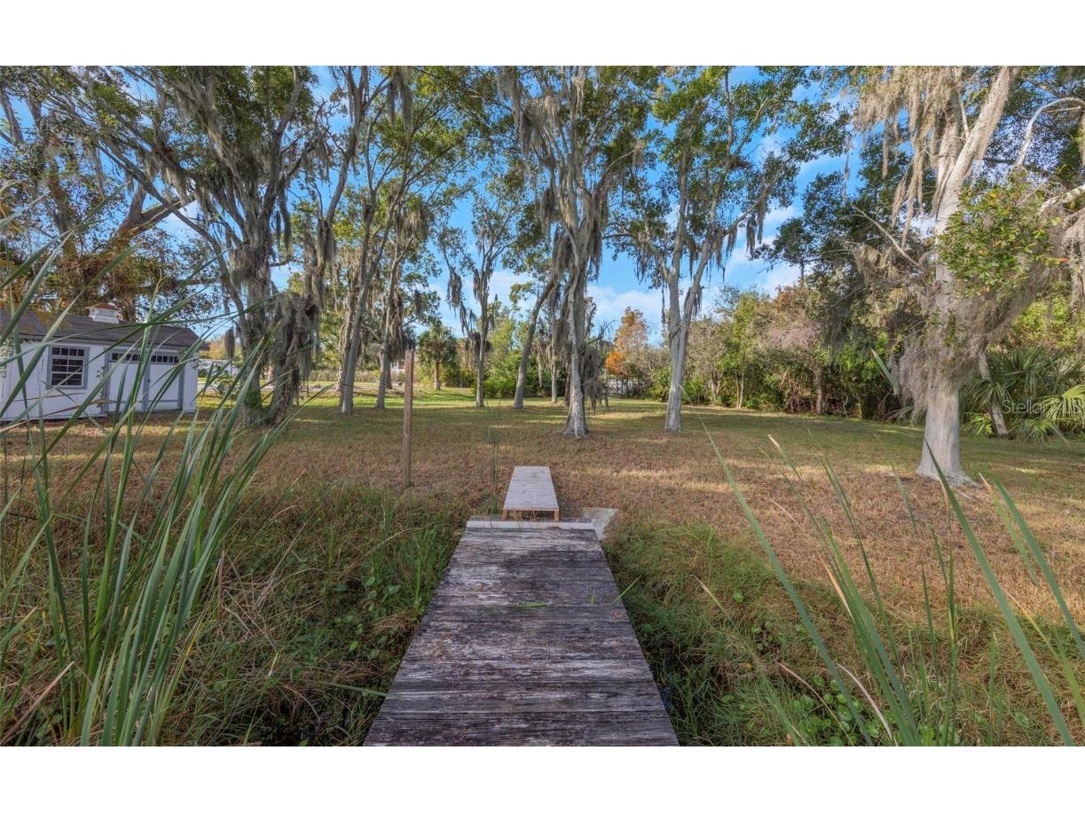 2661 Cyprus Drive Palm Harbor FL 34684 TB8458877 image17