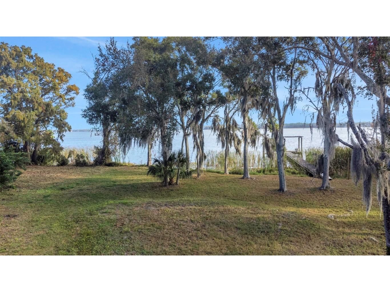 2661 Cyprus Drive Palm Harbor FL 34684 TB8458877 image18