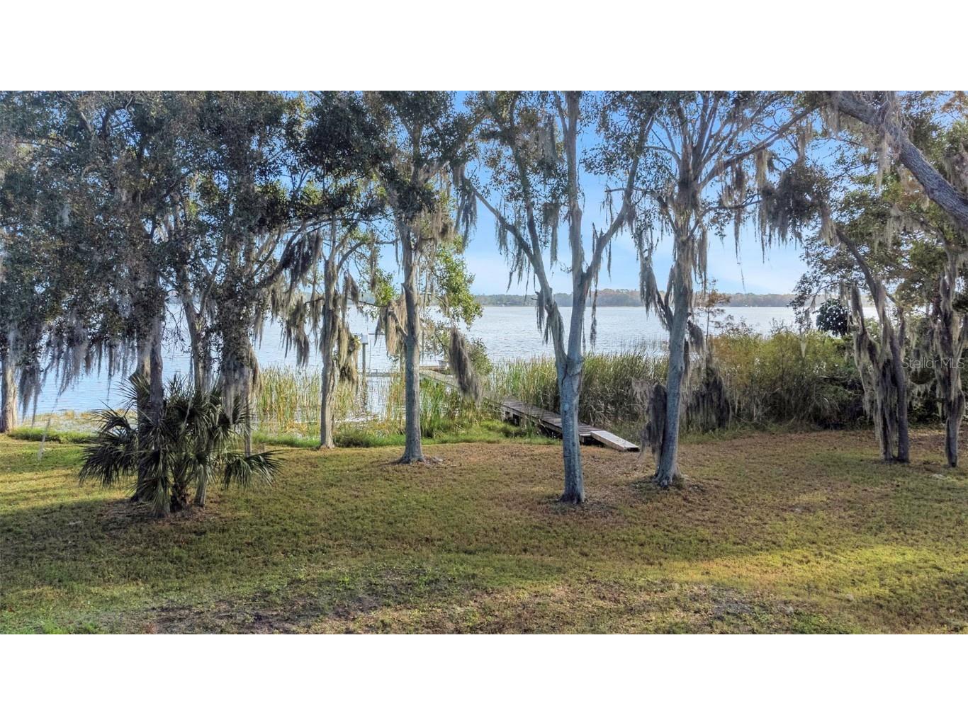 2661 Cyprus Drive Palm Harbor FL 34684 TB8458877 image19