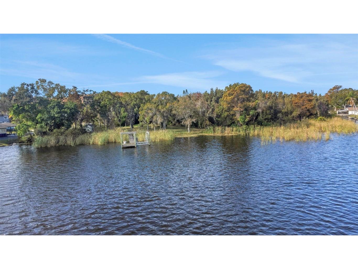 2661 Cyprus Drive Palm Harbor FL 34684 TB8458877 image2