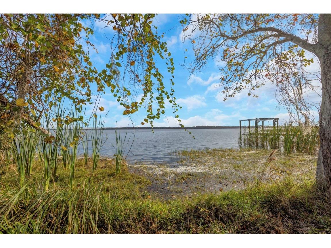 2661 Cyprus Drive Palm Harbor FL 34684 TB8458877 image21