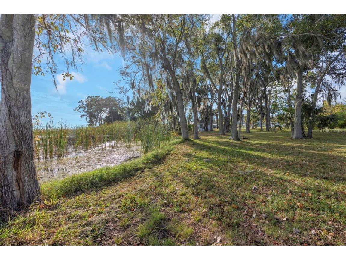 2661 Cyprus Drive Palm Harbor FL 34684 TB8458877 image22