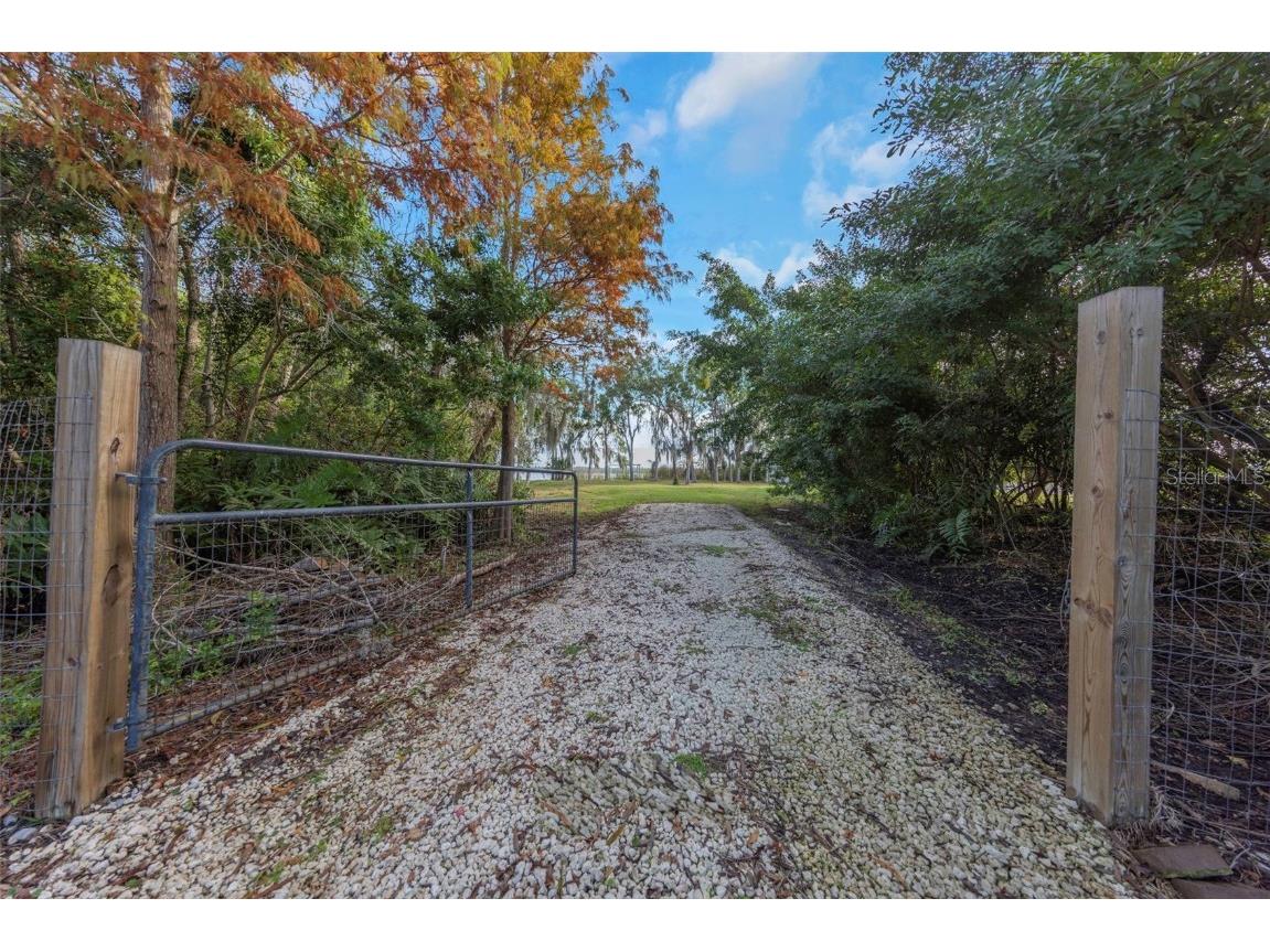 2661 Cyprus Drive Palm Harbor FL 34684 TB8458877 image27