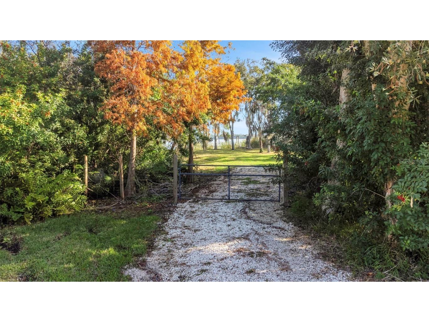 2661 Cyprus Drive Palm Harbor FL 34684 TB8458877 image28