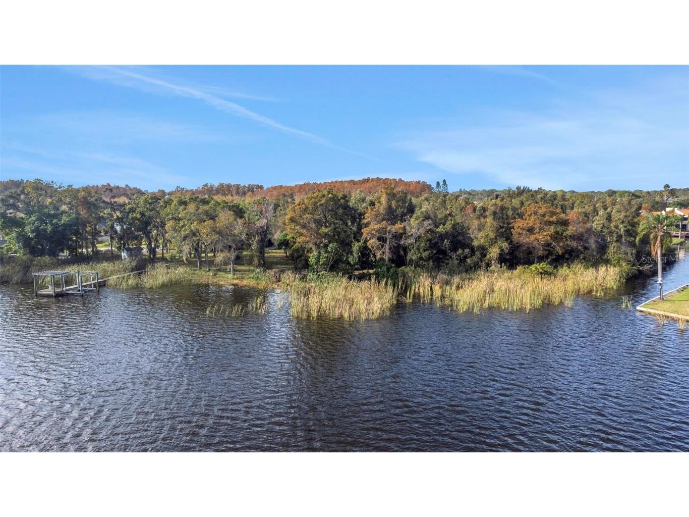 2661 Cyprus Drive Palm Harbor FL 34684 TB8458877 image3