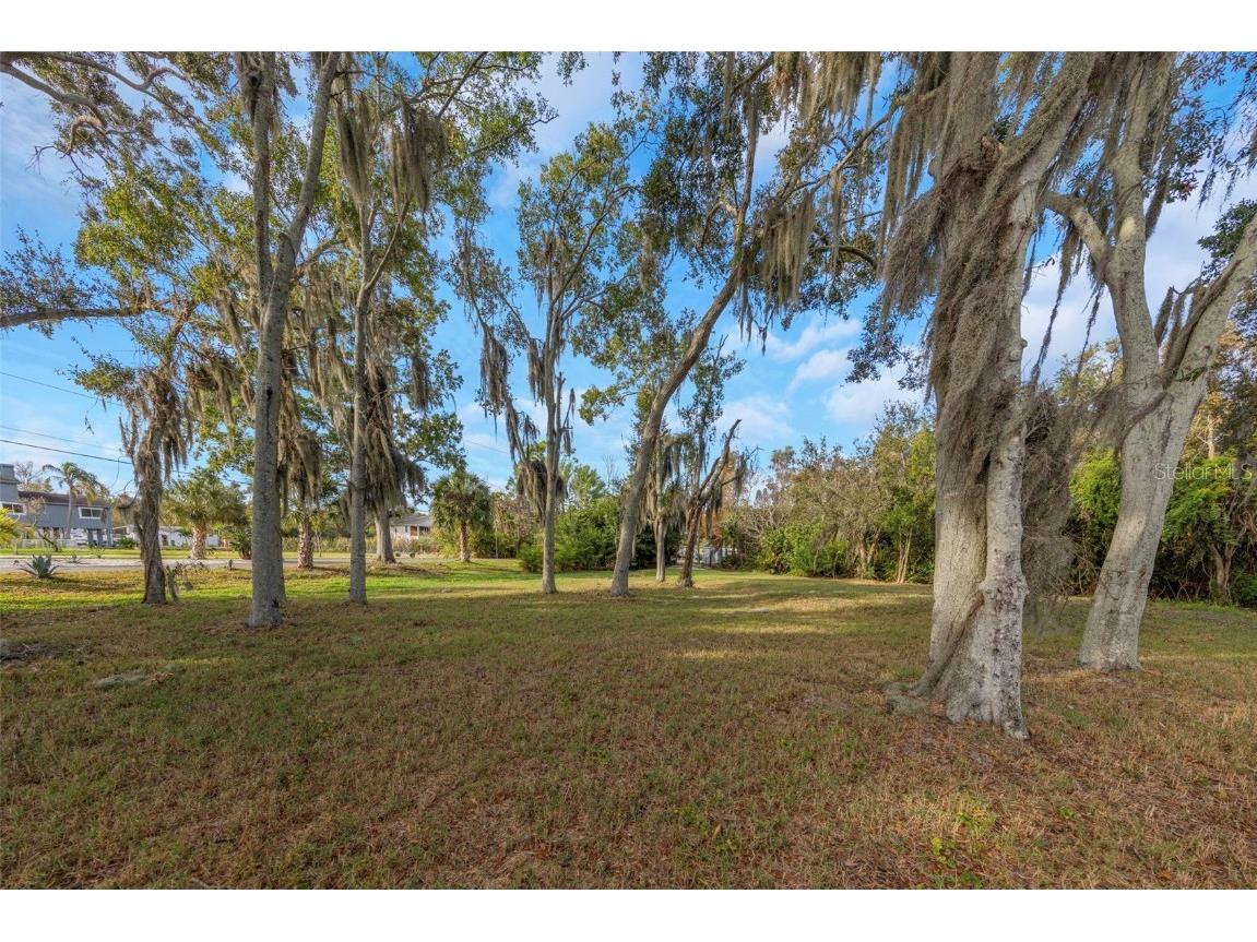 2661 Cyprus Drive Palm Harbor FL 34684 TB8458877 image32