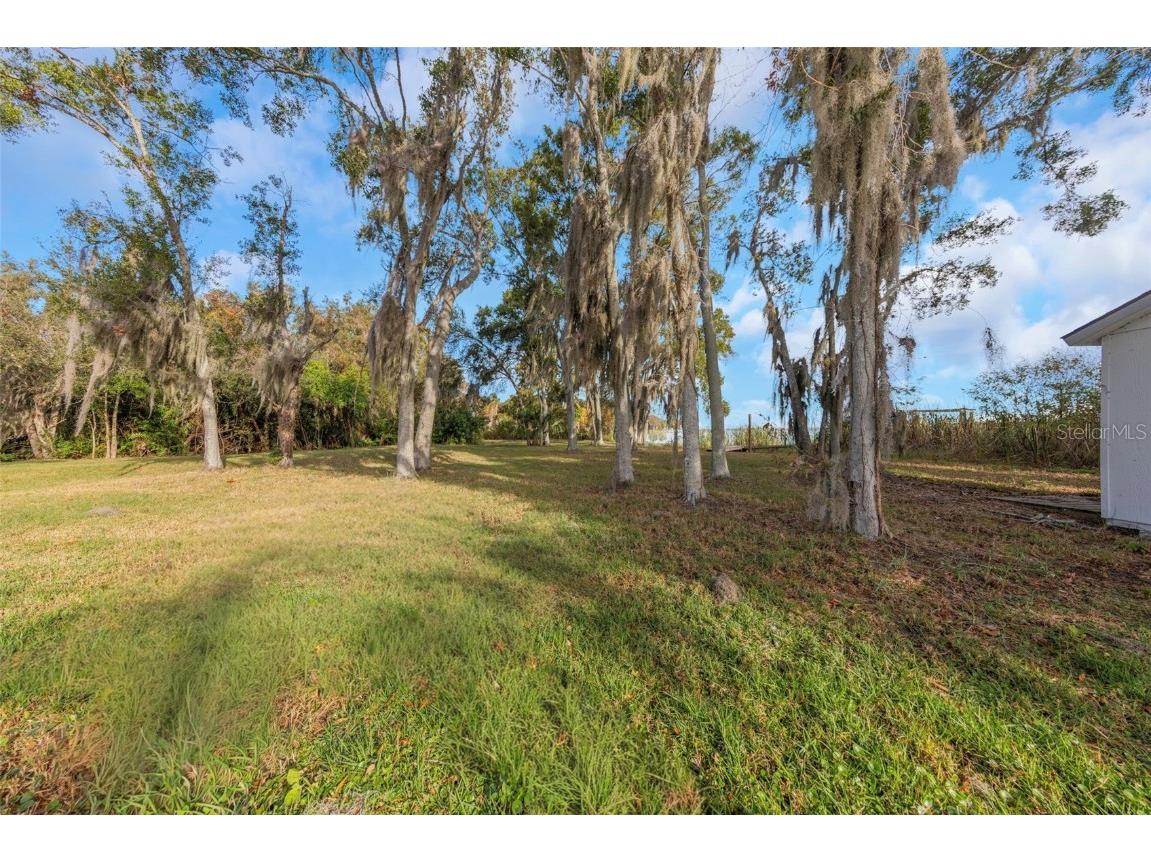 2661 Cyprus Drive Palm Harbor FL 34684 TB8458877 image33