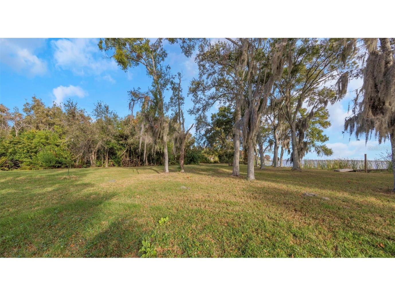 2661 Cyprus Drive Palm Harbor FL 34684 TB8458877 image35