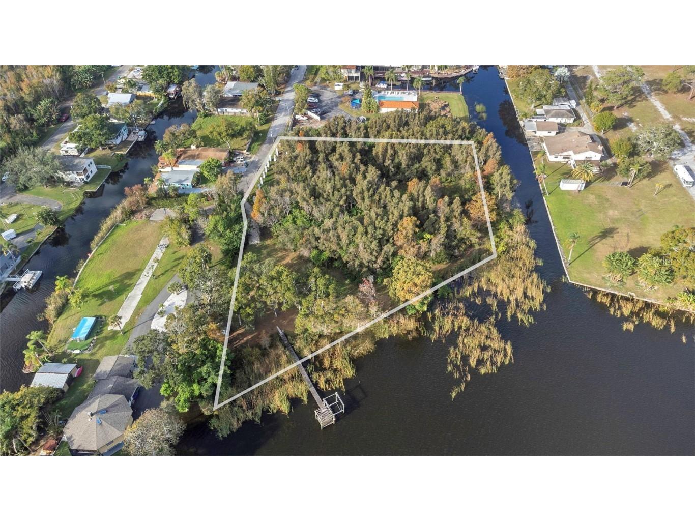 2661 Cyprus Drive Palm Harbor FL 34684 TB8458877 image38