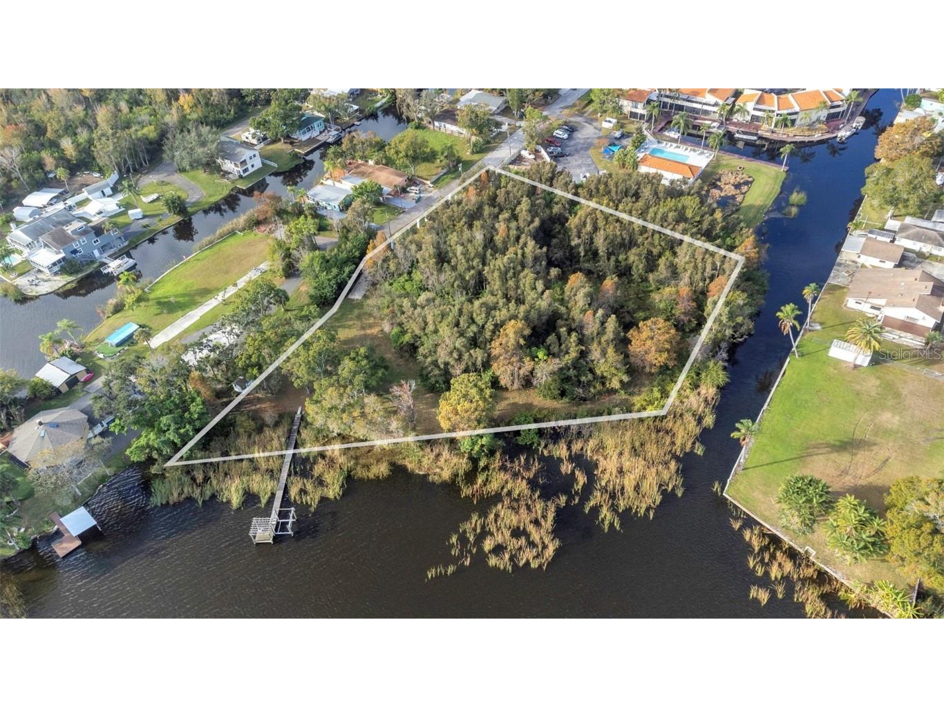 2661 Cyprus Drive Palm Harbor FL 34684 TB8458877 image39